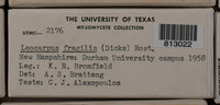Image Associated With the Occurence
